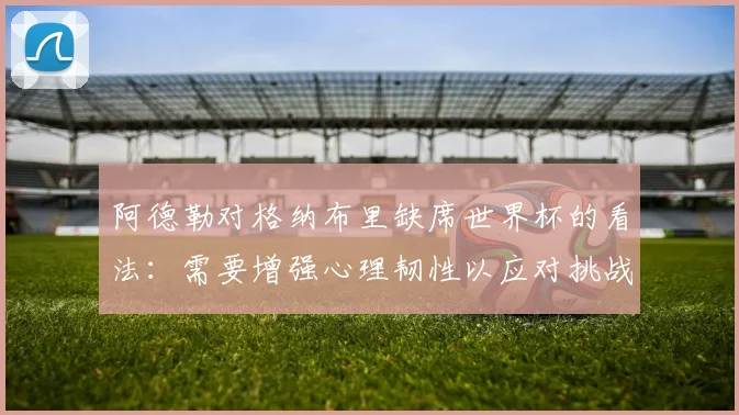阿德勒对格纳布里缺席世界杯的看法：需要增强心理韧性以应对挑战