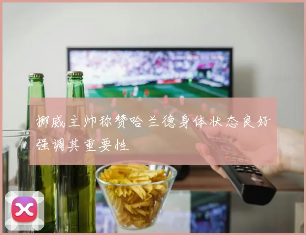 挪威主帅称赞哈兰德身体状态良好强调其重要性